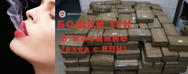 прущие грибы Армянск