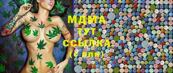 прущие грибы Армянск
