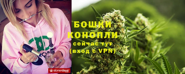 прущие грибы Армянск