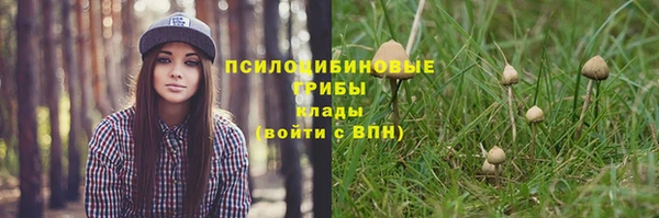 круглые Арсеньев