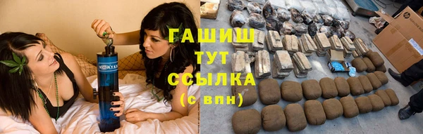 прущие грибы Армянск