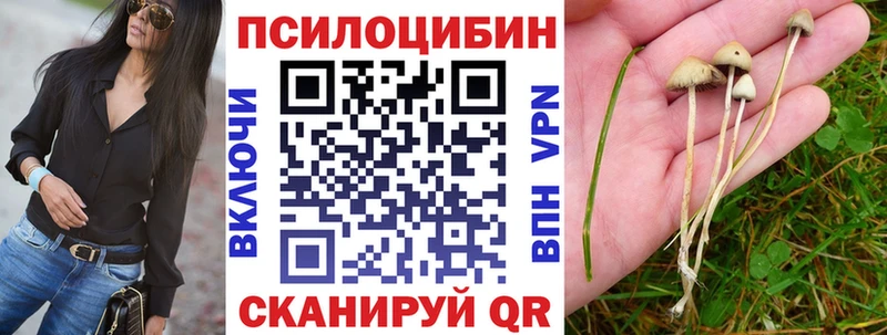 купить наркотики сайты  Динская  Галлюциногенные грибы мицелий 