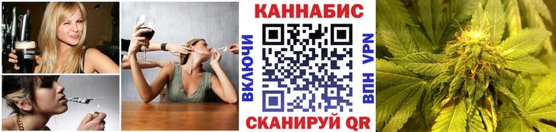 Канабис OG Kush  Динская 